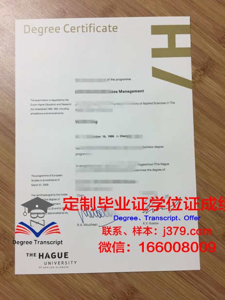 海牙艺术大学毕业证书多久收到(海牙艺术学院)