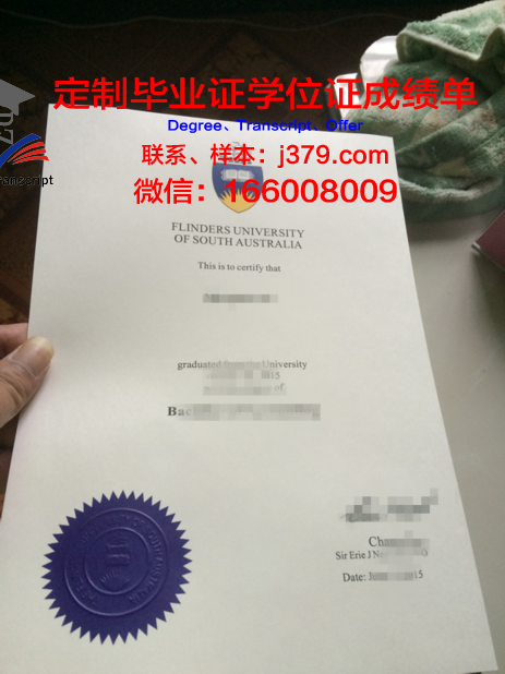 弗林德斯成绩单详细解读与分析